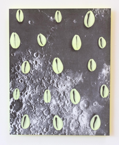 Moon Shells
